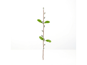 Family 57935C Barkaág, szálas, 58 cm Family 57935C Barkaág, szálas, 58 cm