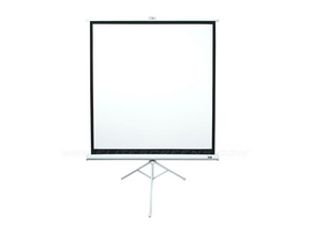 Elite Screens T113NWS1 113 Elite Screens T113NWS1 113