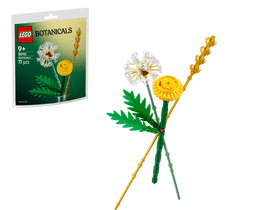 LEGO® Botanicals Mezei virágok (30701)