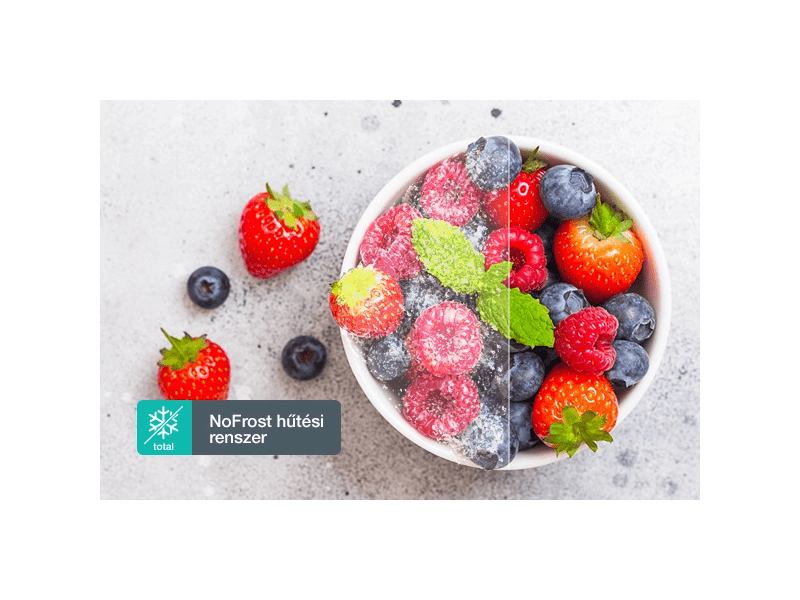 GORENJE NRS9181VX Side by Side hűtőszekrény