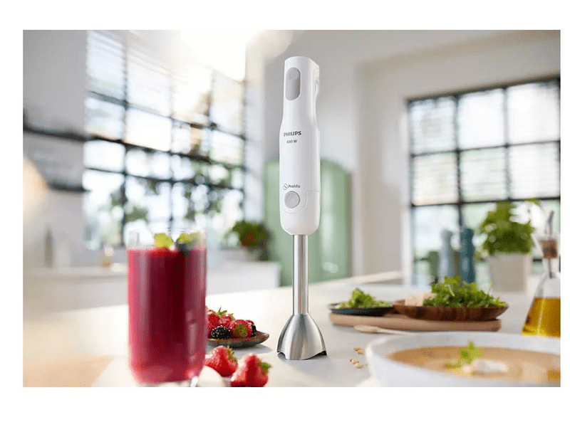 Philips HR2534/00 Daily Collection ProMix štapni mikser