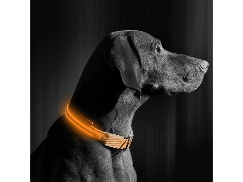 Yummie LED-es nyakörv, S méret, narancs (60027C)