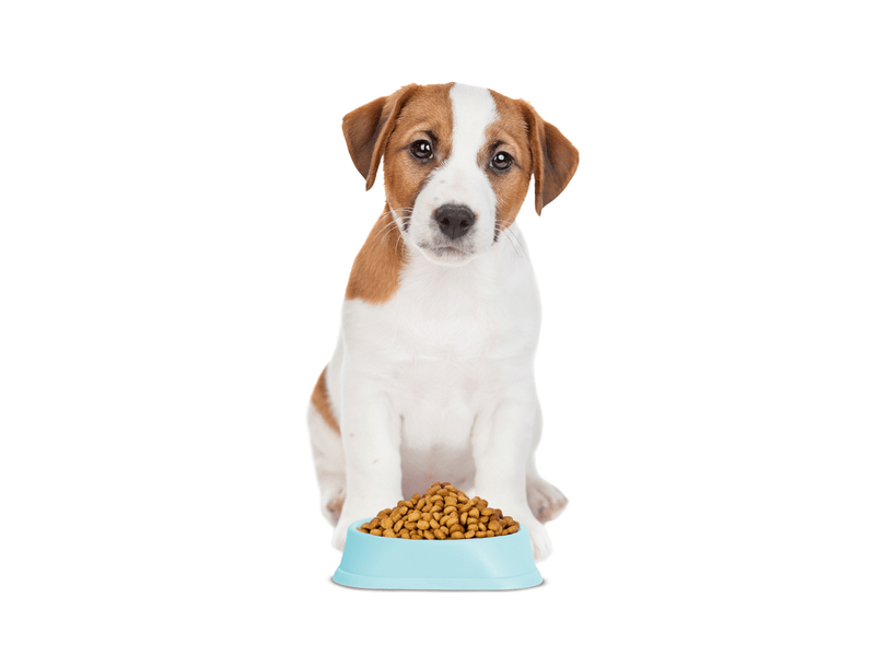 Yummie Etetőtál habzsolásgátlóval, 20 x 20 x 4,5 cm, kék (60061A)