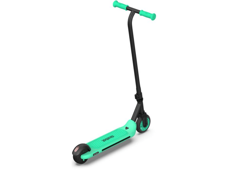 Segway Ninebot eKickscooter Zing A6