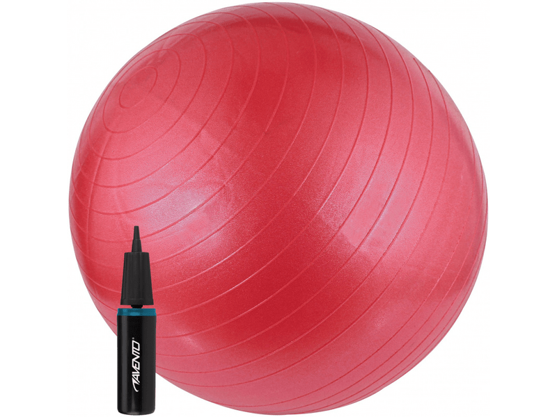 Avento ABS Fitball Pink gimnastička lopta s pumpom, 65 cm, roza (40199)