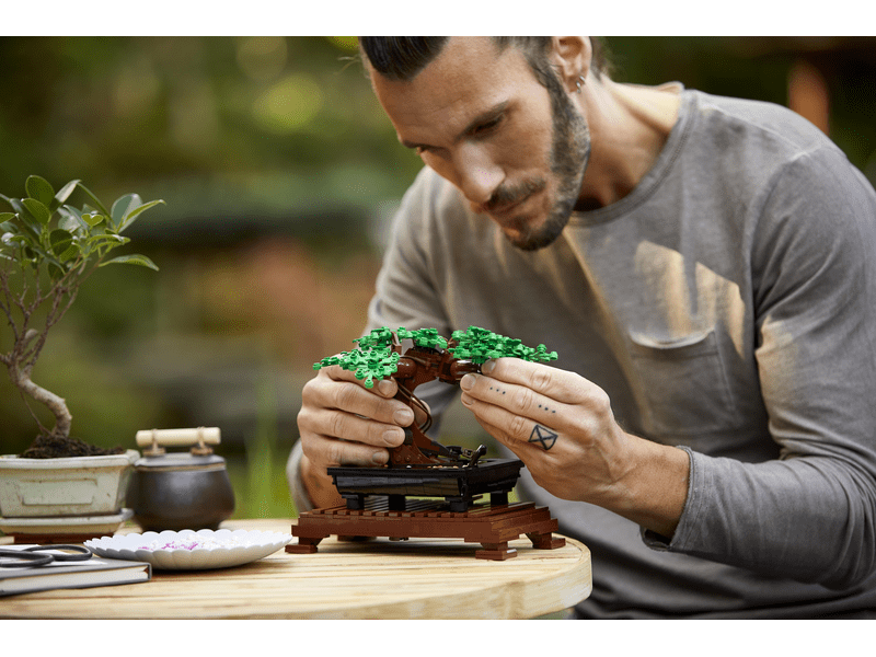 LEGO Creator Expert Bonsai fa
