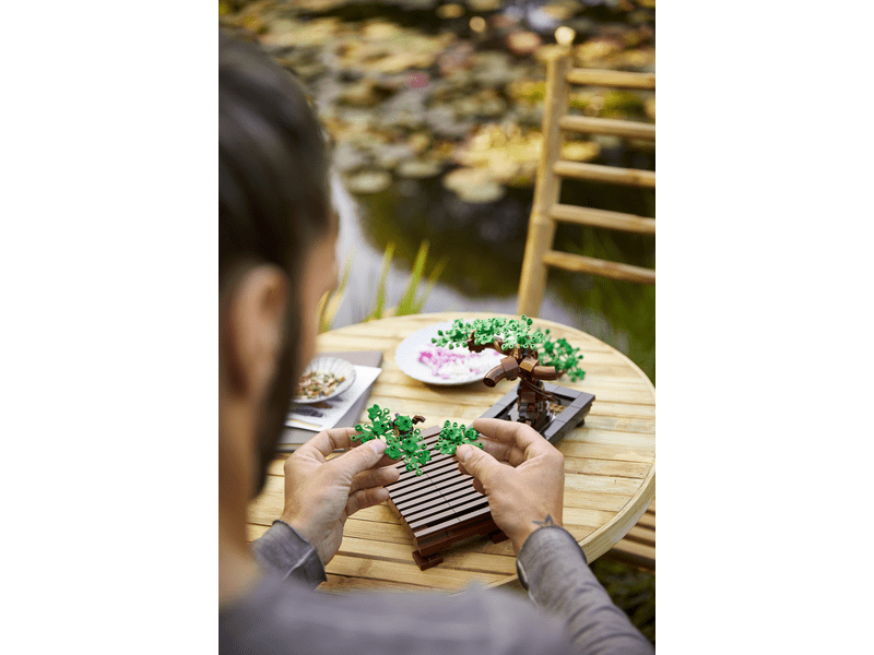 LEGO Creator Expert Bonsai fa