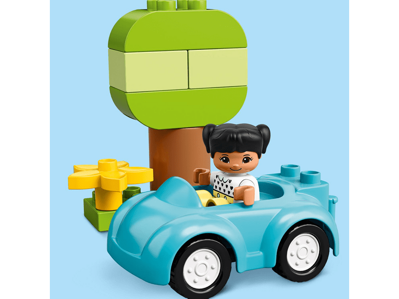 LEGO® DUPLO® Classic Kutija za baterije (10913)