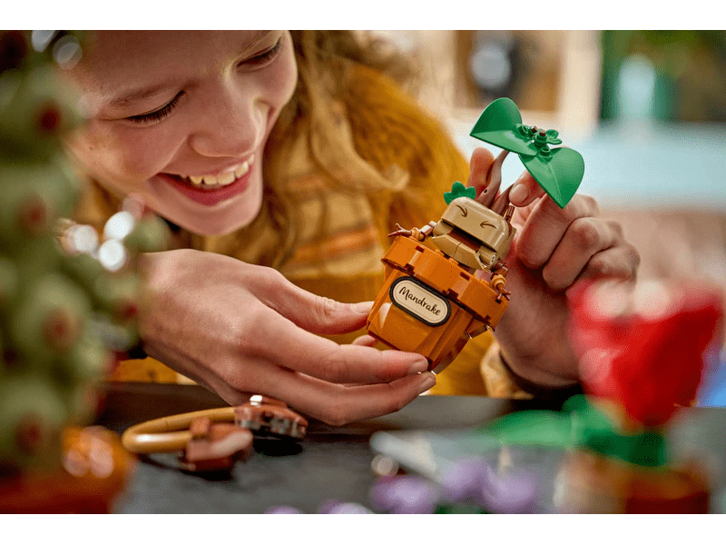 LEGO® Harry Potter™ Roxfort™-i gyógynövénytanóra növényei (76474)