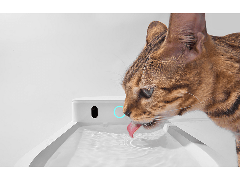 Catlink Pure 3 intelligens itató kutyáknak és macskáknak (CL-WB-01)