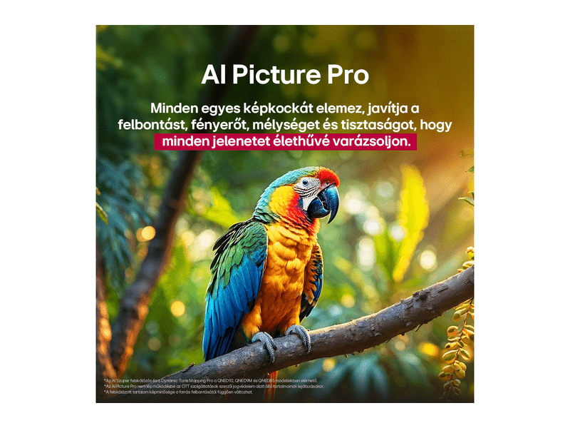 LG QNED evo AI 75QNED85A3C 75