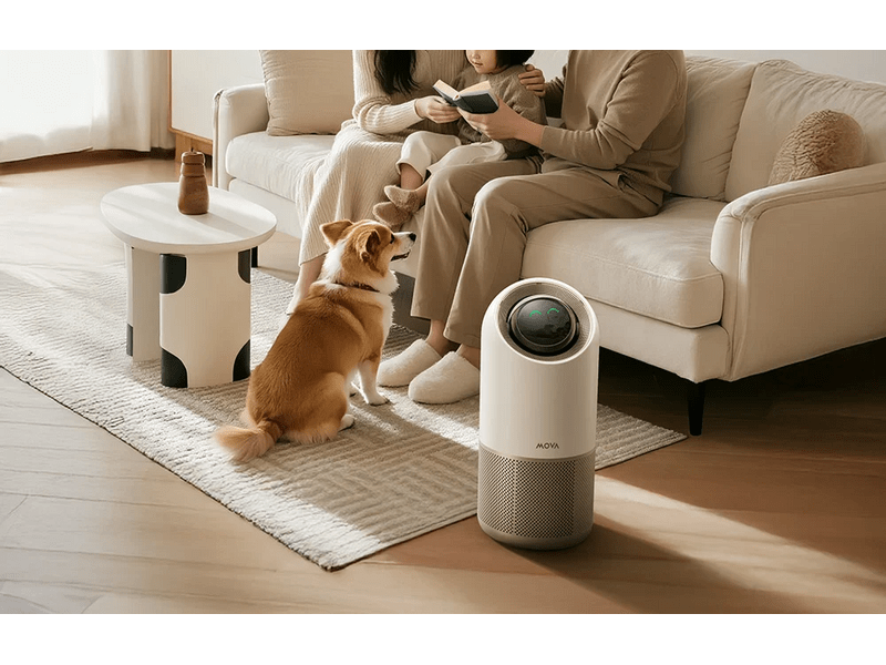 Mova Stellar X10 Plus légtisztító, arany (AP2508E)