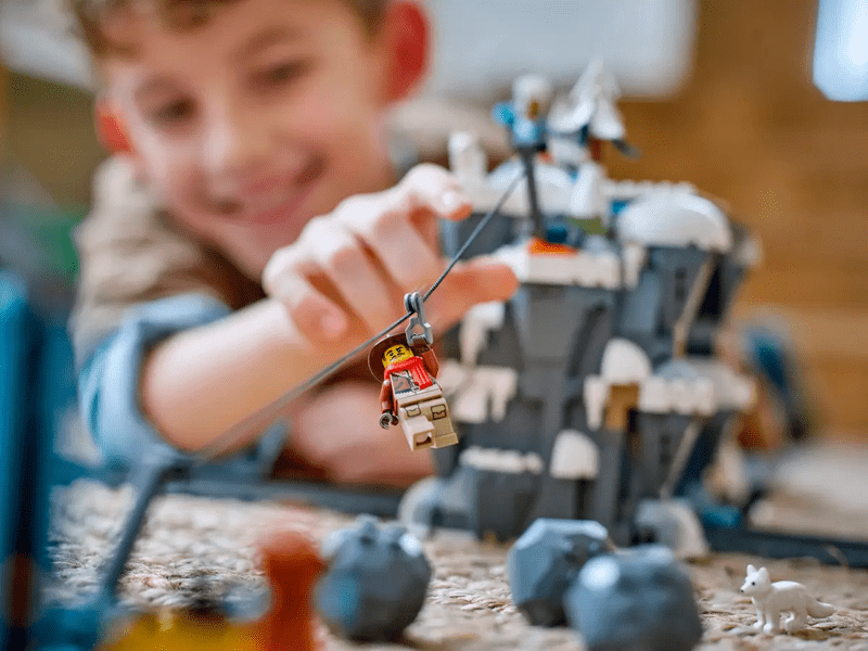 LEGO 60470