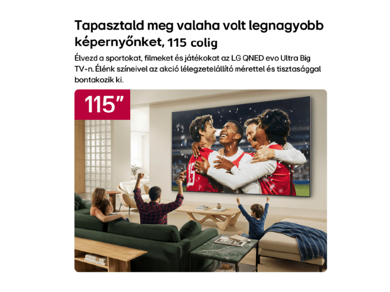 LG 115QNED93B6 115