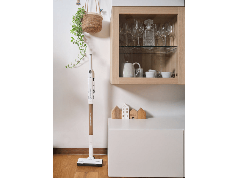 ETA Handy Home Kézi és rúdporszívó (542890000)