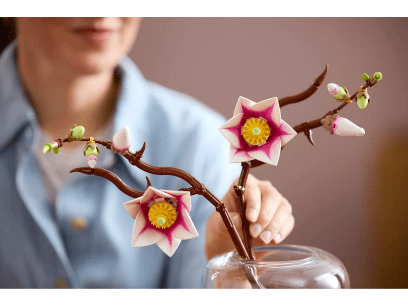 LEGO® Botanicals Magnóliaágak (11510)