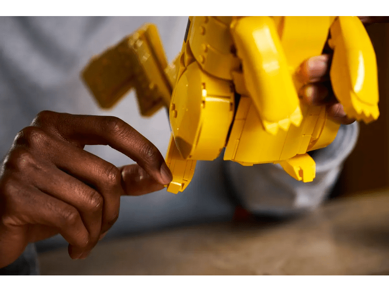 LEGO® Pokémon™ Pikachu és pokélabda (72152)