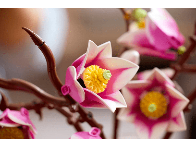 LEGO® Botanicals Magnóliaágak (11510)