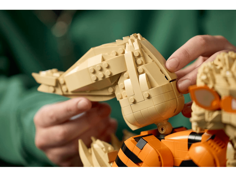 LEGO® Pokémon™ Arcanine (72160)