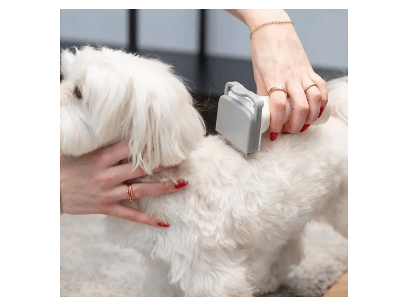 MPM MOD-1000 Kutya-macska szőrzetápoló/porszívó készlet