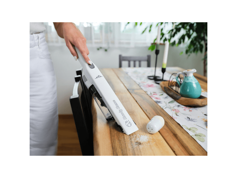 ETA Handy Home Kézi és rúdporszívó (542890000)