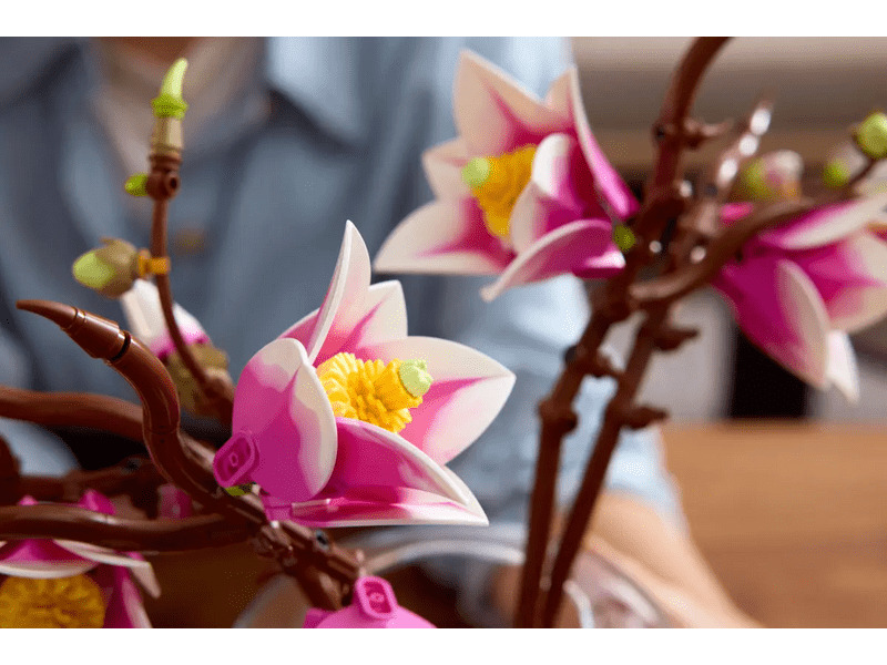 LEGO® Botanicals Magnóliaágak (11510)