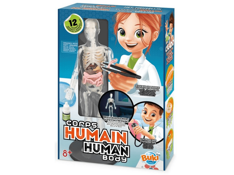 Buki Tudományos készlet: Az emberi test