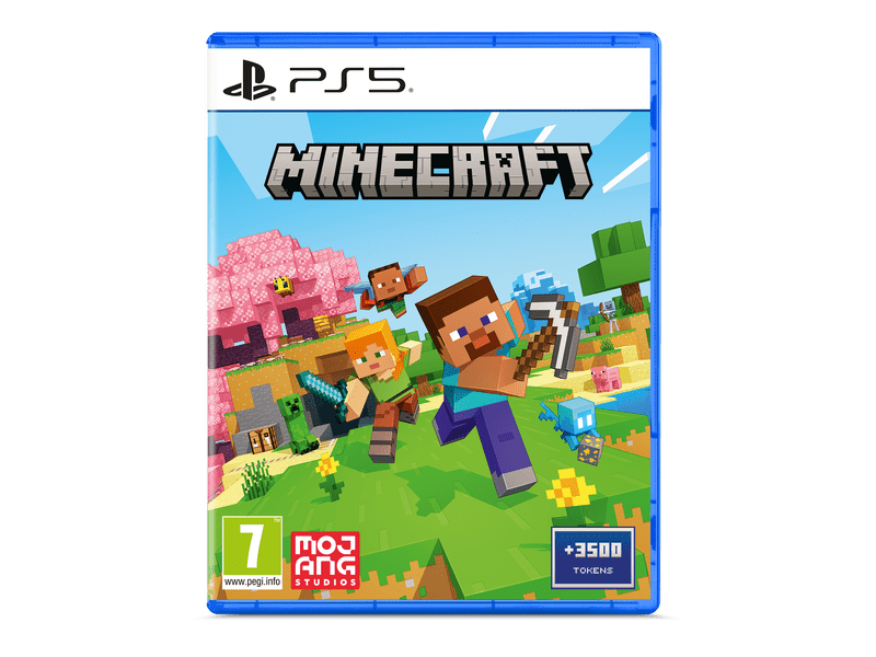 PS5 MINECRAFT