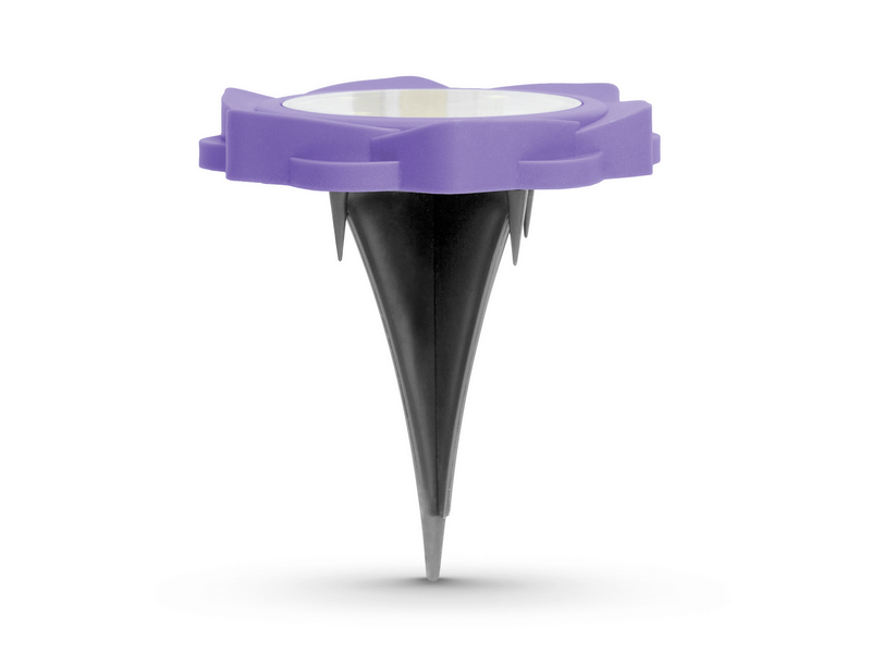 Garden of Eden 11767C Leszúrható szolár lámpa, lila