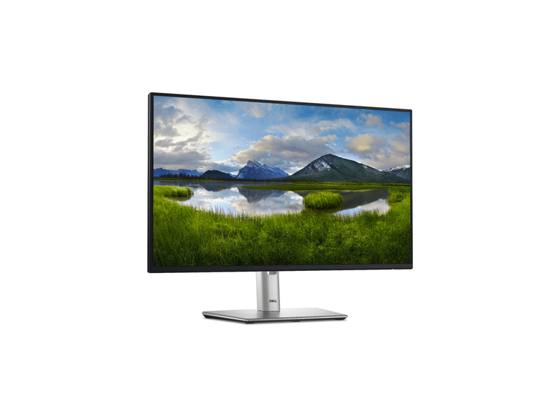 Dell P2425HE 23,8