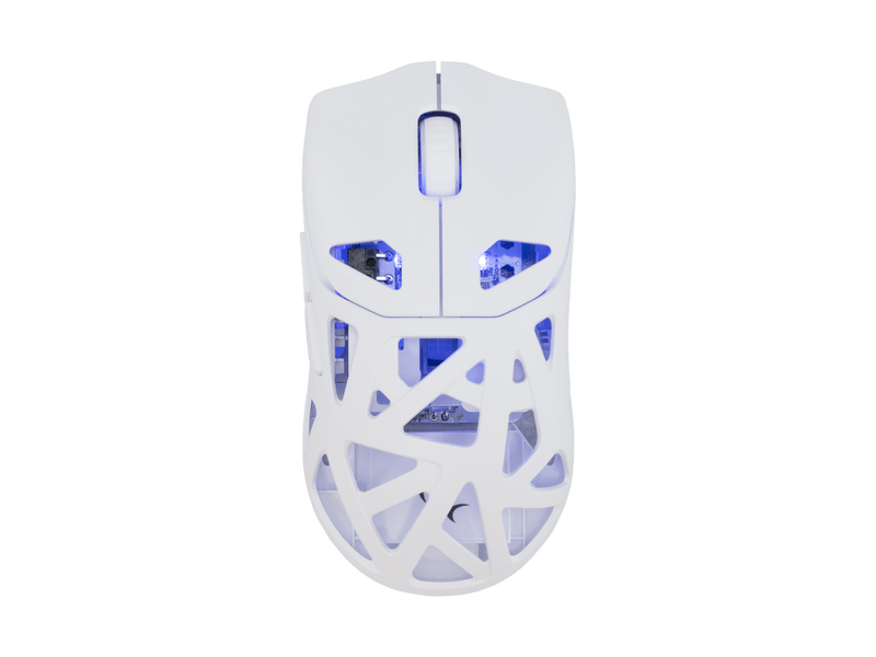 White Shark Dagonet Gaming egér, fehér (W030202)