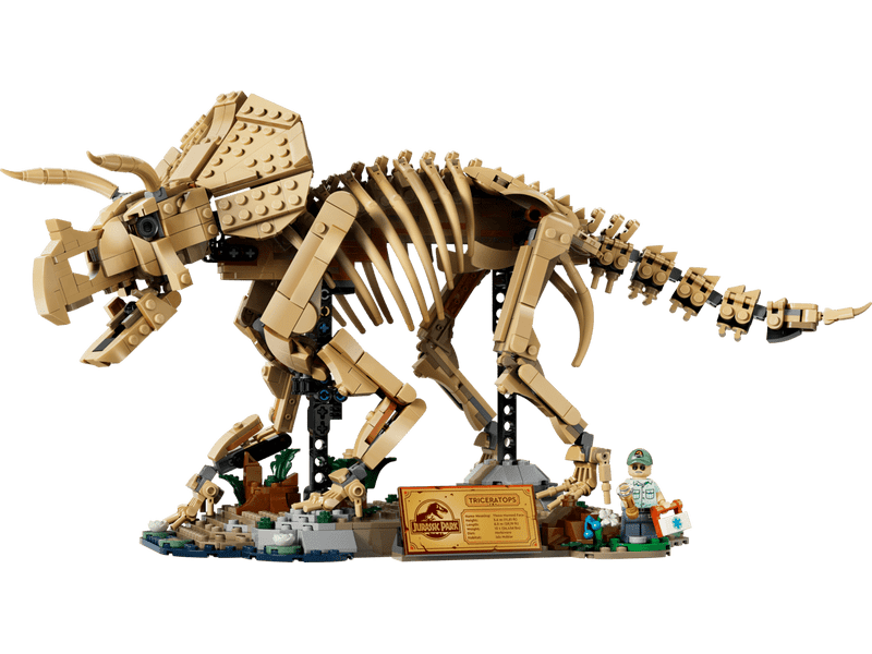 LEGO® Jurassic World Dinoszaurusz maradványok: Triceratops (77985)