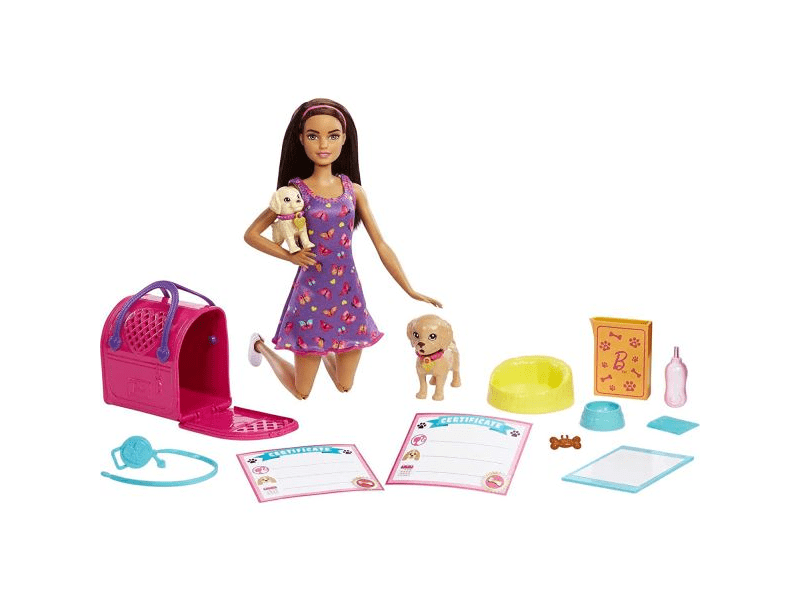 Barbie: Gondos gazdi játékszett