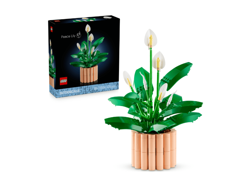 LEGO® Botanicals Vitorlavirág (11504)