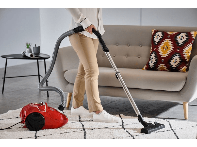 Rowenta RO3953EA Porzsákos porszívó