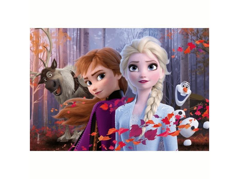 Frozen 2in1 maxi puzzle 150db