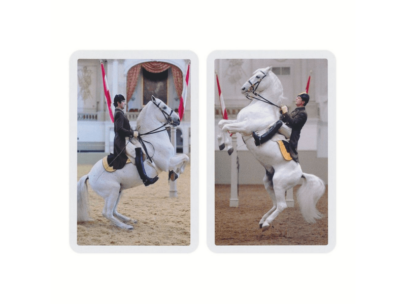 Piatnik 262630 Lipicai lovak römi kártya