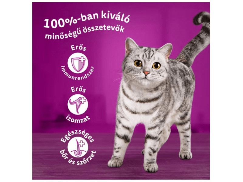 Whiskas Alutasakos nedves macskaeledel, szárnyas válogatással, 12x85g