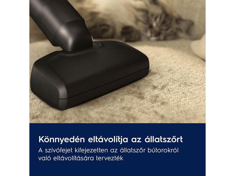 Electrolux EP61AB21UG Animal 600 vezeték nélküli álló porszívó, Szürke