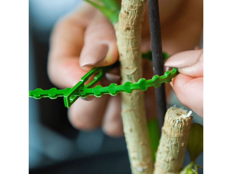 Garden of Eden 11490 Oldható Növénykötöző Szett, 40 db