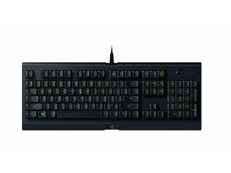 Razer Power Up Bundle V2