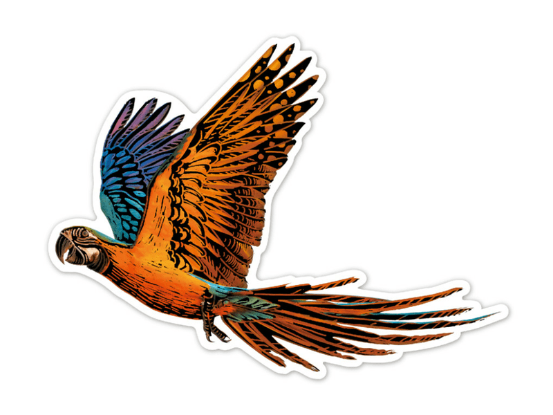 Avenir naljepnice za rezbarenje, ptice (CH232075)