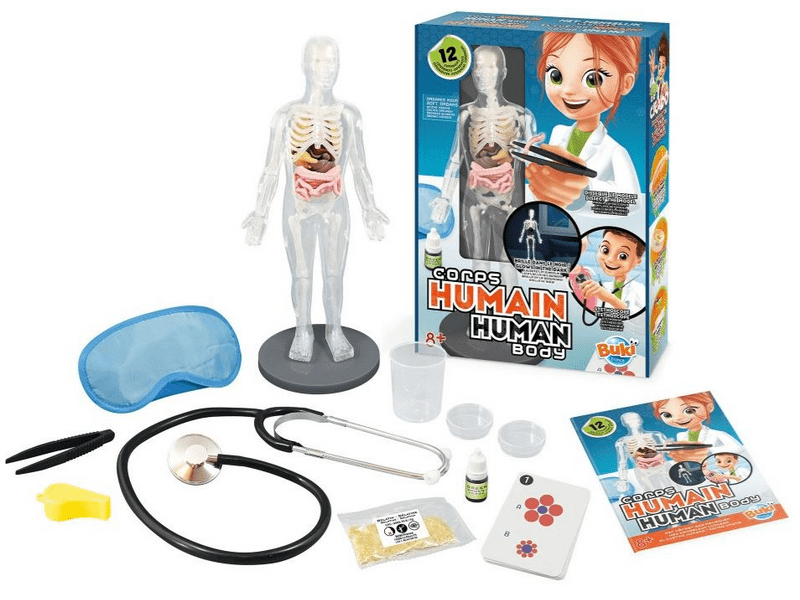 Buki Tudományos készlet: Az emberi test
