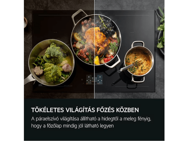 AEG GDP866PB Teleszkópos páraelszívó