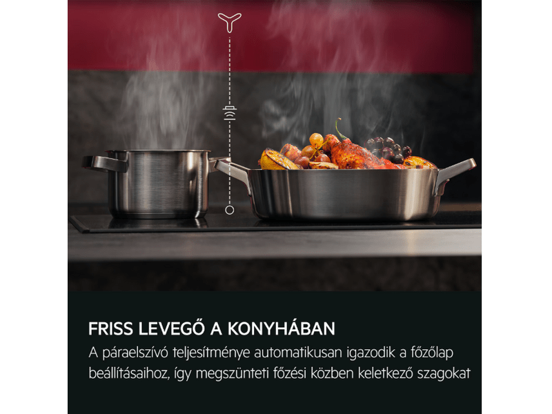 AEG GDE689HB Beépíthető páraelszívó