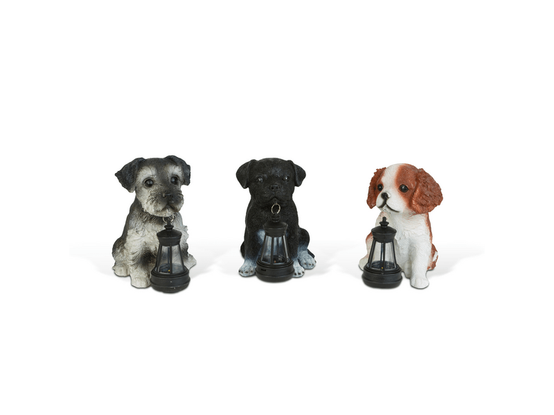 Garden of Eden 11430B Szolár kutyafigura, 3-féle