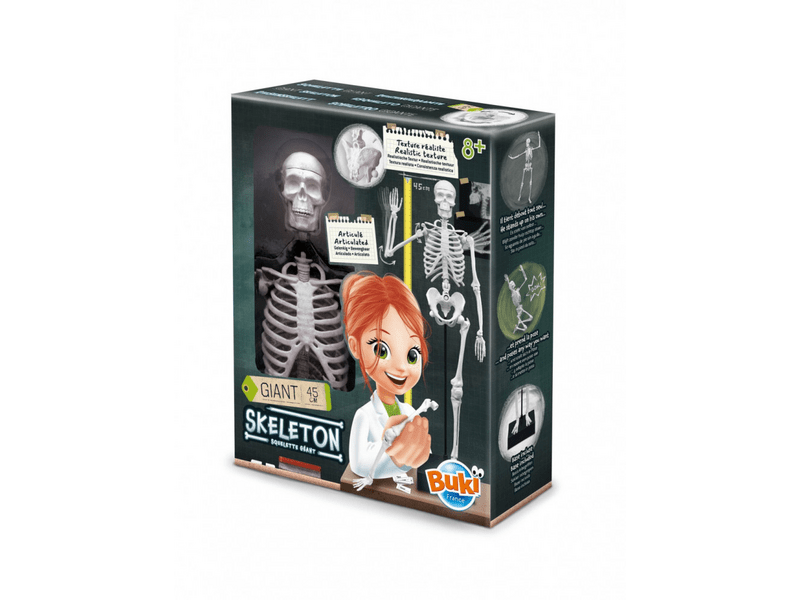 Buki 2180 Összeépíthető csontváz, 45 cm