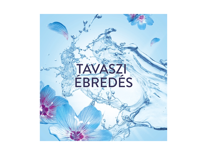 Lenor Spring Awakening Textilöblítő 71 Mosáshoz, 1491ml