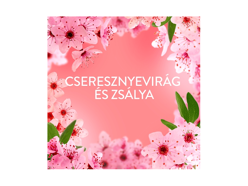 Lenor Textilöblítő 59 Mosáshoz, Cherry Blossom & Sage, 1239ml