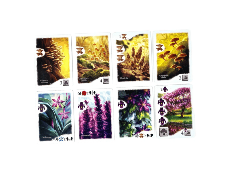 Álomkert Társasjáték (10003)